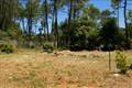SILLANS-LA-CASCADE BEAU TERRRAIN PLAT 1205 M2