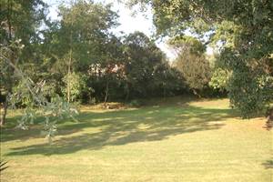 ROQUEBRUNE SUR ARGENS TERRAIN  1500 M2 PLAT ARBORE SUD