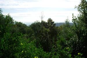 TRES BEAU TERRAIN   AU CALME. PROJET PERMIS DE 200 M2 EXISTANT. EMPLACEMENT RARE!
