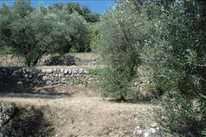 Terrain constructible magnifique vue